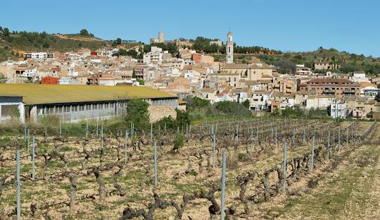 Vila-rodona