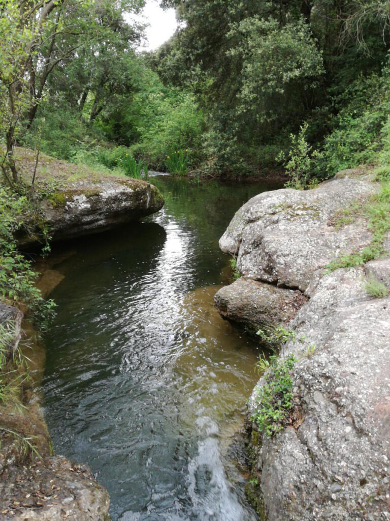 San Lorenzo Savall